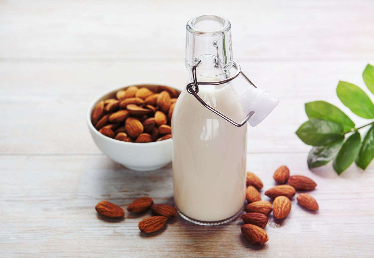 All You Need to Know About Almond Milk & Its Health Benefits FR Molniya