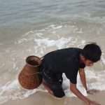 After A Visit To The Beach, A Man Finds A Palm Tree With Small Animals Hiding In The Roots