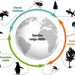 Understanding the impacts of climate change on global ecosystems