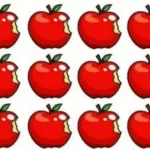 Brain Teaser: Can Your High IQ Help You Find the Different Apple in 11 Seconds?